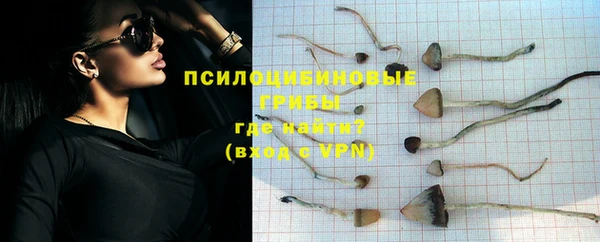 трава Армянск