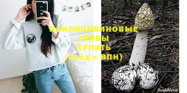 трава Армянск
