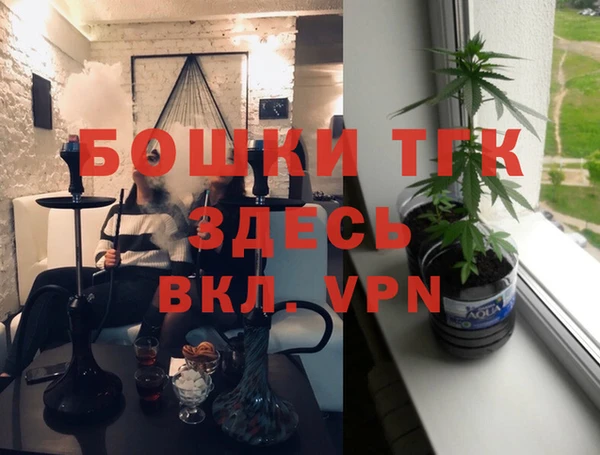 стафф Арсеньев