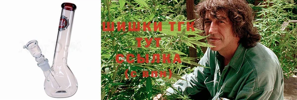 стафф Арсеньев