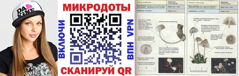 Псилоцибиновые грибы Psilocybe  сколько стоит  Ейск 